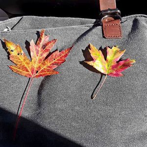 Meet your Posher, Karon